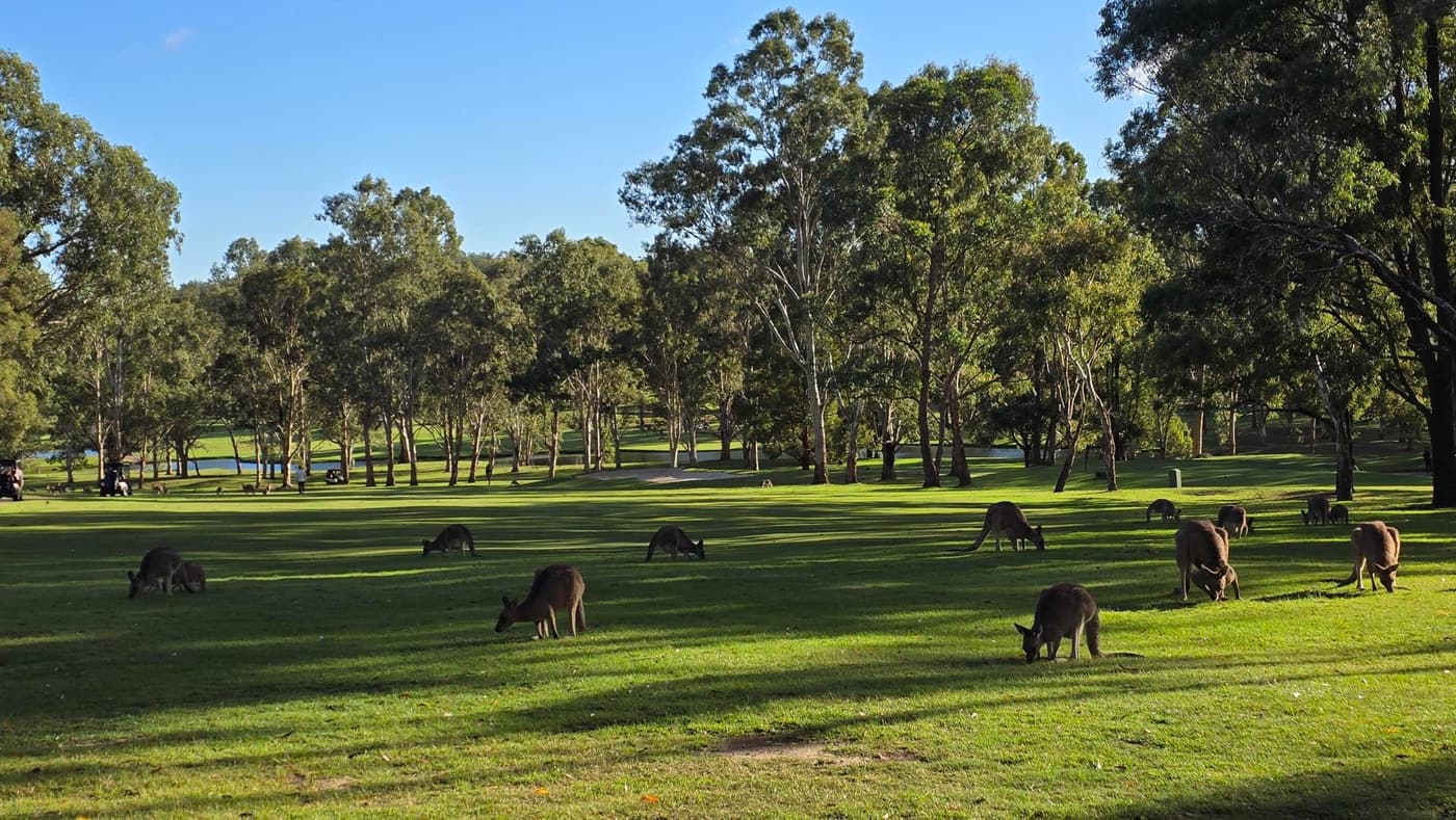 Friends of NADO Charity Golf Day, 27 March 2026